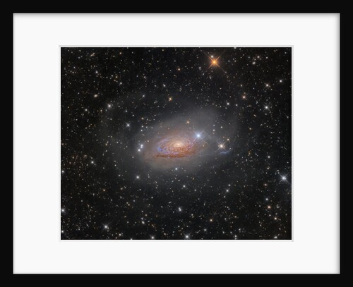 M63: Star Streams and the Sunflower Galaxy by Oleg Bryzgalov