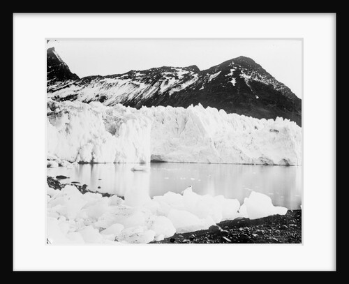 Hamberg Glacier, Moraine Fjord, South Georgia by unknown