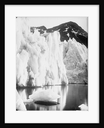 The snout of Hamberg Glacier, Moraine Fjord, South Georgia by unknown