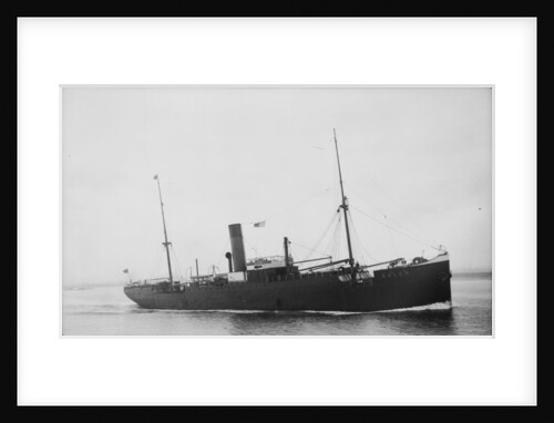 The Argo Line steamship 'Adler' (1900) by unknown