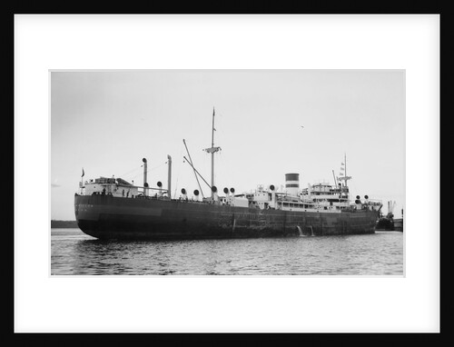 Silverwillow' (Br, 1930) by Unknown
