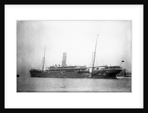 'Inkosi' (Br, 1902) by unknown