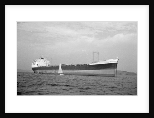'Barlby' (Br, 1962) by unknown