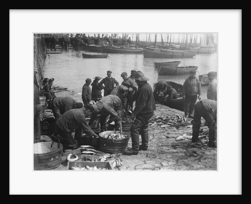 Folkestone, Kent. Sorting fish on the harbour slipway at low water by unknown