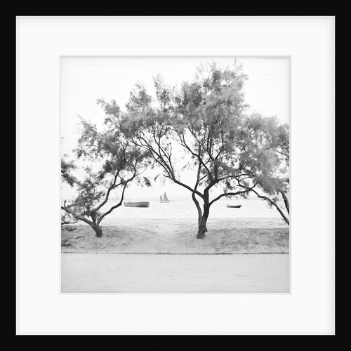 Looking seaward from the bund at Weihaiwei by David Watkin Waters