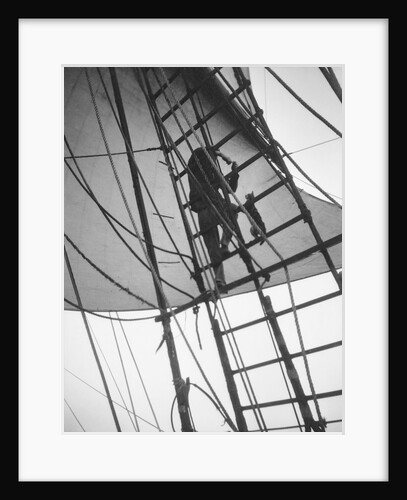 A seaman enticing the ship's cat up one of the shrouds of 'Pommern' (Fi, 1903) 4 masted barque, ex 'Mneme', Gustaf Erikson by Unknown