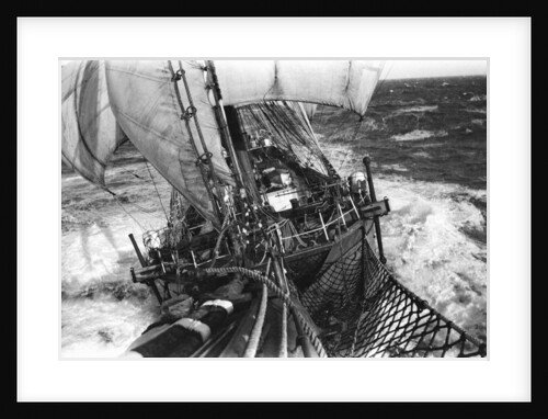 The 'Parma' (1902) by unknown
