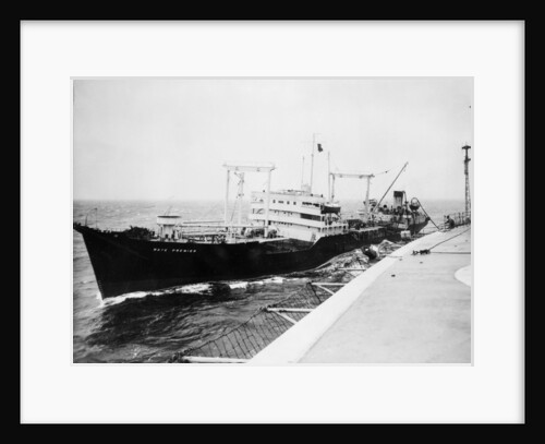 'Wave Premier' (Br, 1946) by Unknown