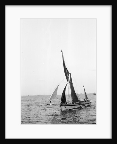 'Sara' (Br, 1902) under sail during Thames barge race by unknown