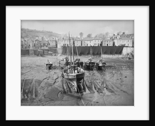 'Boy Willie' Mounts Bay mackerel driver by unknown