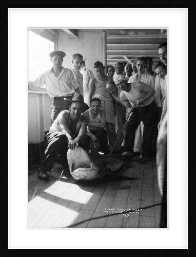 A group of off-duty crew from 'Carinthia' (1925) pose with a captured shark on deck by Marine Photo Service