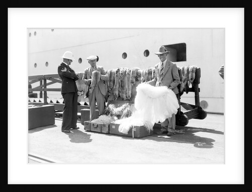 Stole and cape sellers, Cape Town, South Africa by Marine Photo Service