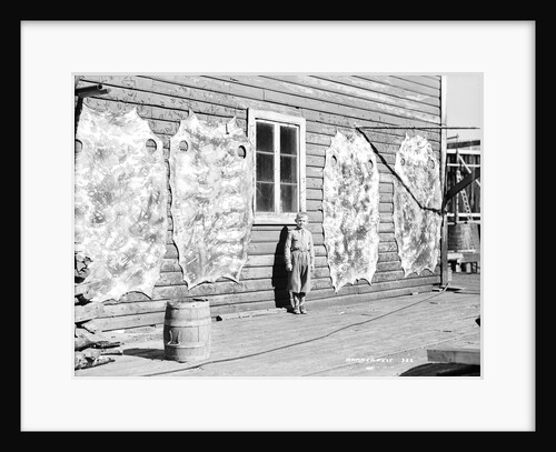 Reindeer skins, Hammerfest, Norway, 1930 by Marine Photo Service