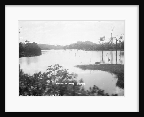 Panama Canal, Panama, 1935 by Marine Photo Service