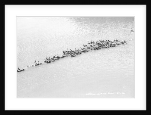 A herd of reindeer at Svartisen, Norway by Marine Photo Service