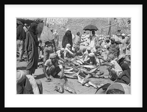 Fish being sold on the beach, Mutrah by Alan Villiers