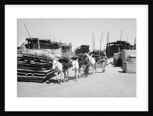 Water donkeys carry full goatskins into town by Alan Villiers
