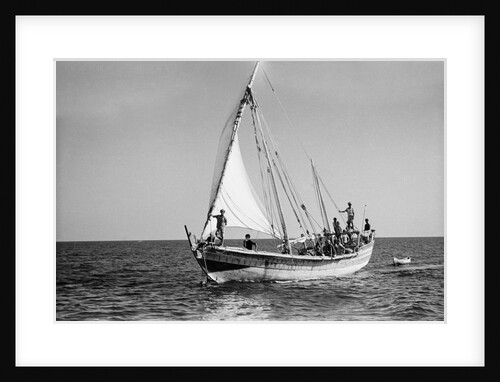 The 'Sheikh Mansur' under sail by Alan Villiers