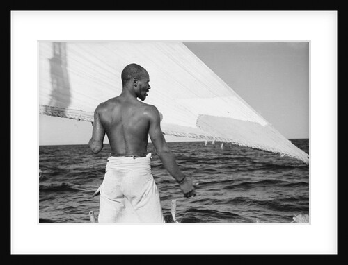 A sailor of the 'Sheikh Mansur' keeps and eye on the sail by Alan Villiers