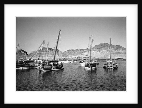 Zarooks and sambuks ride at anchor, Ma'alla, Aden by Alan Villiers