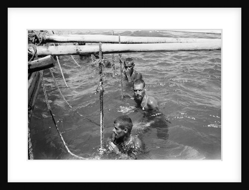Pearl divers in the water by Alan Villiers