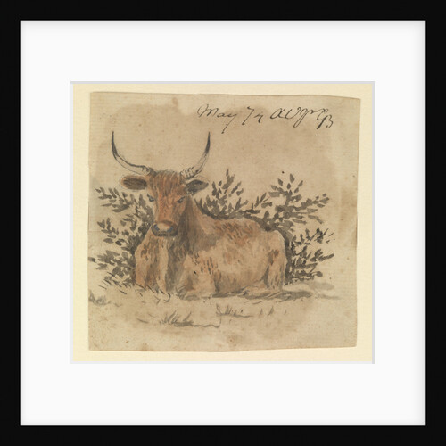 A cow, lying down by Gabriel Bray