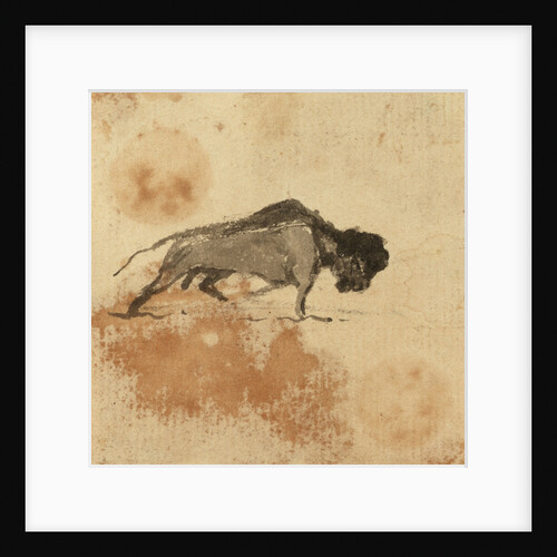 Sketch of a bison by Gabriel Bray
