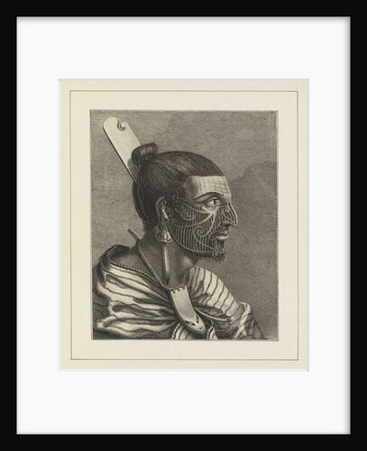 Head of a New Zealander, with a comb in his hair by Sydney Parkinson