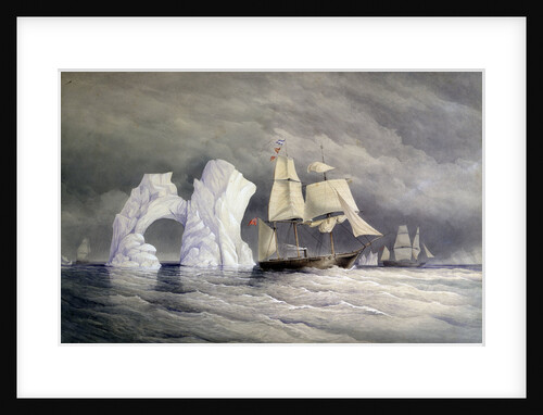 HMS 'Phoenix', 'Talbot' and 'Diligence' passing a remarkable iceberg by Edward Augustus Inglefield
