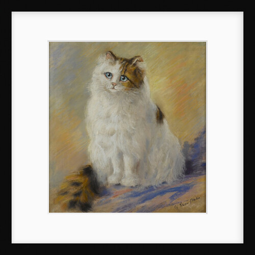 Cat mascot 'Jimmy' on HMS 'Renown' by Georgina Shaw Baker