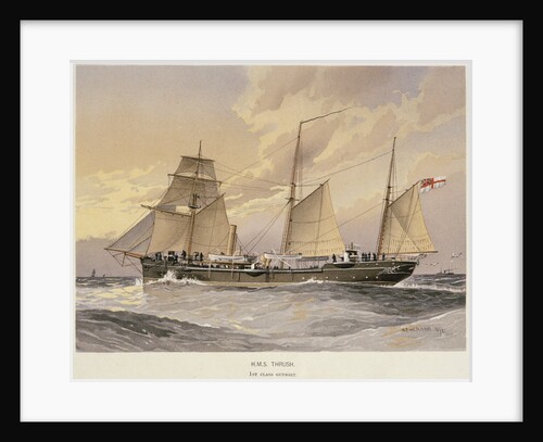 HMS 'Thrush', First class gunboat by W. Fred Mitchell