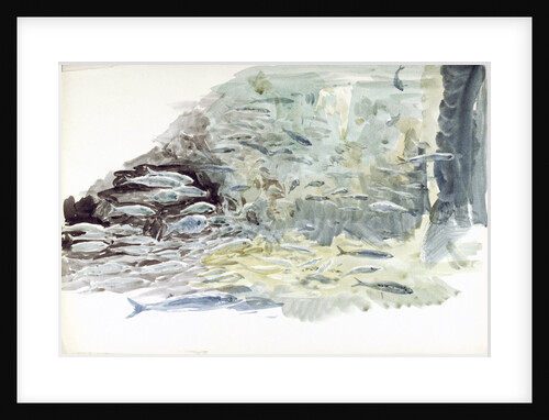 Underwater view of a shoal of fish by William Lionel Wyllie