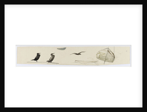 Seabirds by William Lionel Wyllie