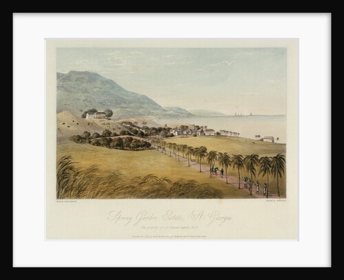 Spring Garden Estate, St George's by James Hakewill