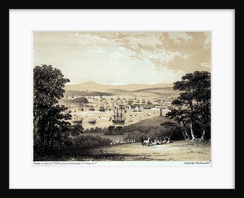 From the White Seat at Mount Edgcumbe Park Devonport. Views from the most picturesque parts of Mount Edgcumbe No.2 by Nicholas Matthew Condy