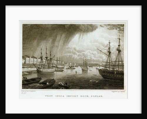 West India Import dock, Poplar by Thomas Barber