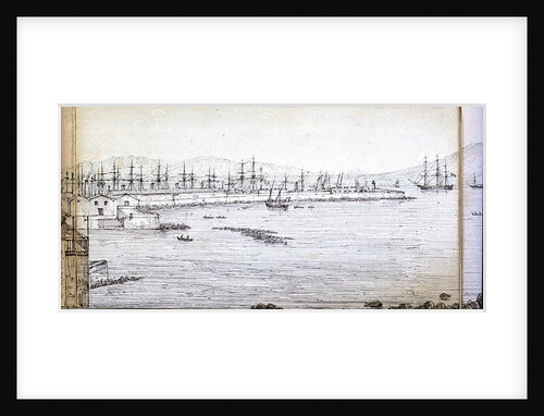 Panoramic view of Naples by Antonio Senape