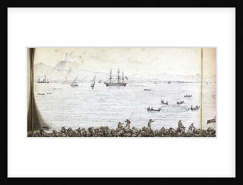 Panoramic view of Naples by Antonio Senape
