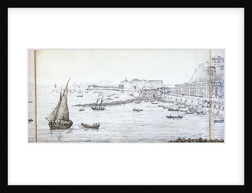 Panoramic view of Naples by Antonio Senape