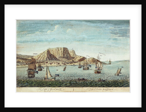 The Cape of Good Hope by Jan van Ryne