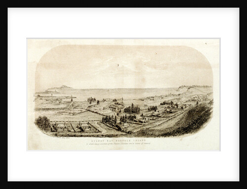 Sydney Bay, Norfolk Island to which place a portion of the Pitcairn Islanders are in course of removal by J. Glen Wilson