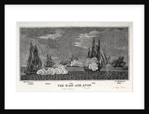 The 'Wasp' , 'Avon', 'Castilian', 'Tartarus' and 'Rapid' by Michaele Felice Corne