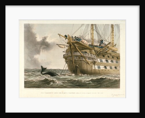HMS 'Agamemnon' laying the Atlantic telegraph cable in 1858: a whale crosses the line by R. Dudley