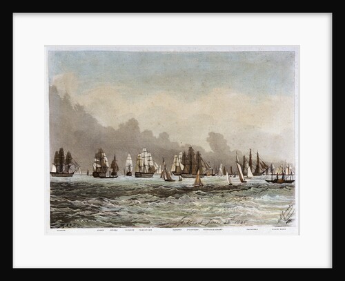 Spithead, 23 June 1845. 'Albion', 'Queen', 'Superb', 'Rodney', 'Trafalgar', 'Canopus', 'St Vincent', 'Victoria & Albert', 'Vanguard', 'Black Eagle' by M. Grove