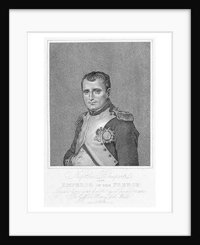 Napoleon Bonaparte by Jacques Louis David