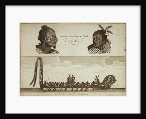 Heads of New Zealand chiefs Curiously Tatowed by unknown