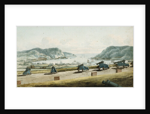 View of St. John's, Newfoundland from Fort Townsend by George Bulteel Fisher