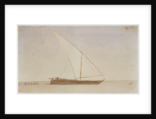 Study of a gyassis by Edward Lear
