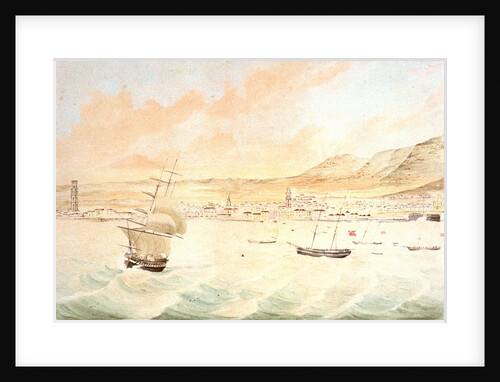 Santa Cruz in Tenerife by J. J. Williams