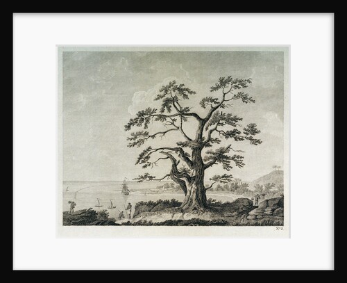 View of harbour landscape by Parkinson